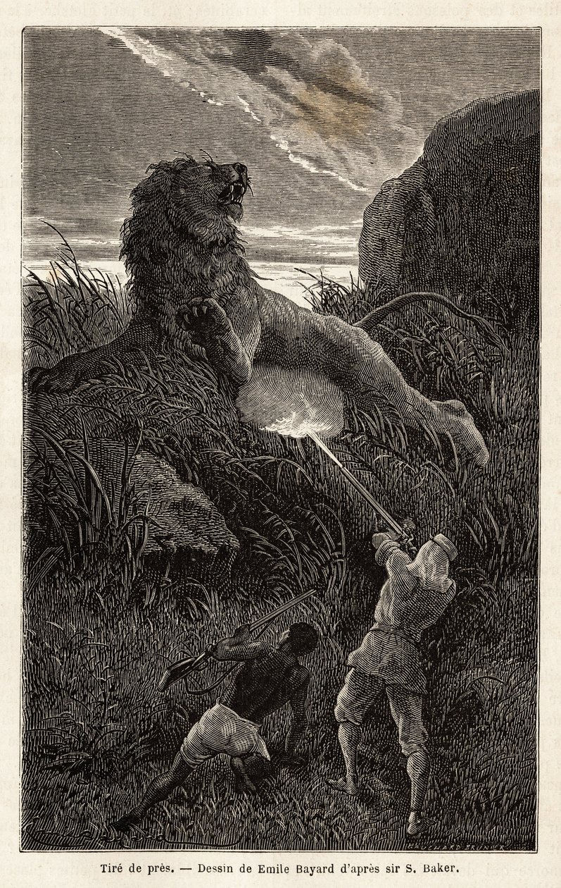 Autor překvapený lvem během túry při východu slunce zvíře zastřelí a zraní. Rytina pro ilustraci průzkumu habešských přítoků Nilu od sira Samuela W. Bakera v letech 1861-62, publikovaná v „“Le tour du monde““ 1870-1871, edi od Unknown artist