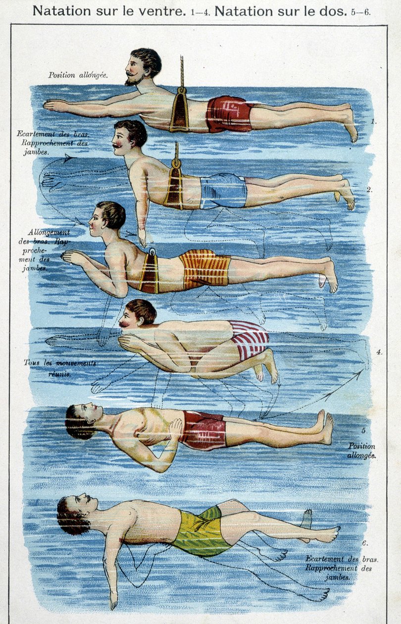 Plavání na břiše – v „Bilz, přírodní léčba“, konec 19. století od Unknown artist