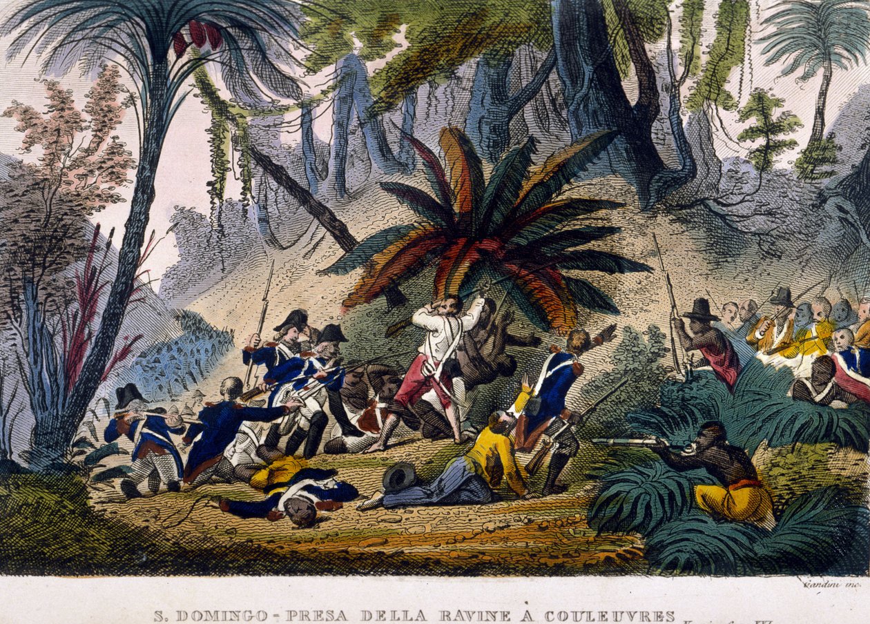 Pořízeno de la Ravine v Reuvres dne 23.2.1802. Expedice Leclerc, která obklopuje jednotky Francoise Dominique Toussainta, známého jako „Toussaint-Louverture“ (Toussaint Louverture od Unknown artist