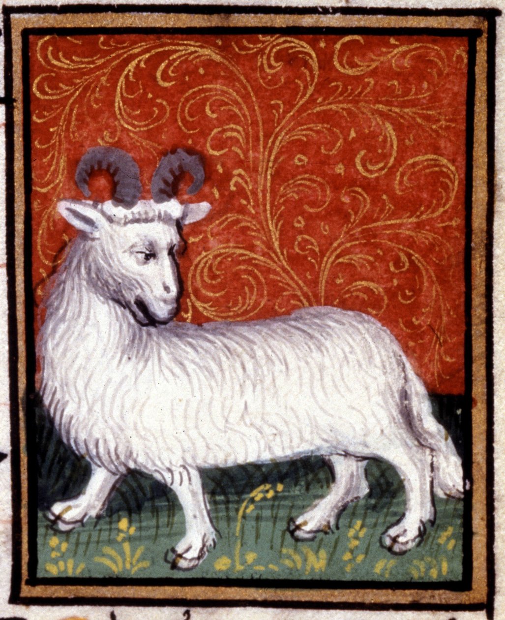 Beran. Miniatura horoskopu. Rukopis 15. století. Bibl. Trivulziana, Milán. od Unknown artist