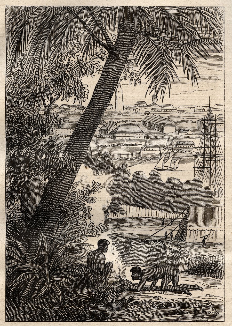 Výprava do jižních zemí (1800-1803) od Nicolase Baudina (1754-1803): Pohled na Sydney (Austrálie) - ilustrace z „Velkých námořníků 18. století““ od Unknown artist
