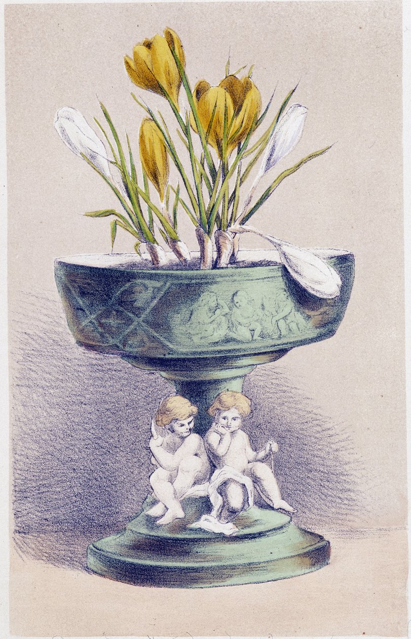Čtvero ročních období: jaro, narcisy od Unknown artist