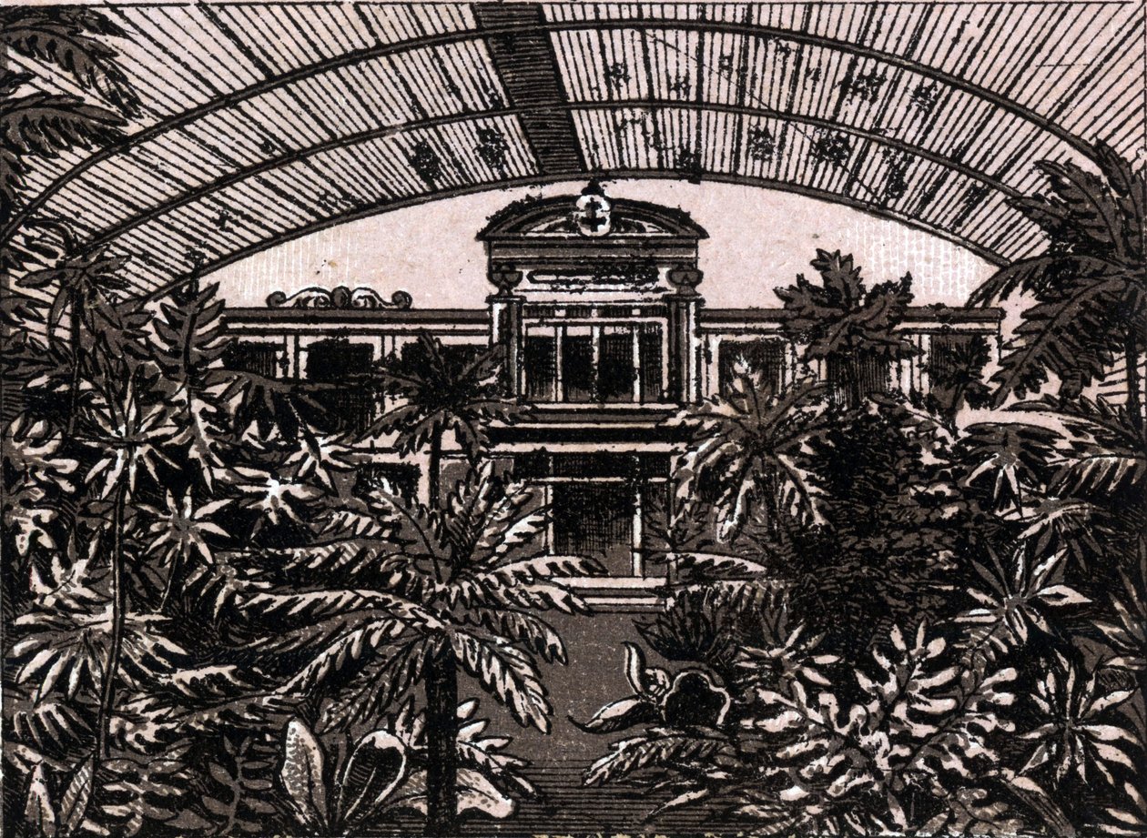 Palmová zahrada ve Frankfurtu, Německo (Frankfurt, Německo) v „Svět ilustruje 168 pohledů“ Nedatováno (konec 19. století) od Unknown artist