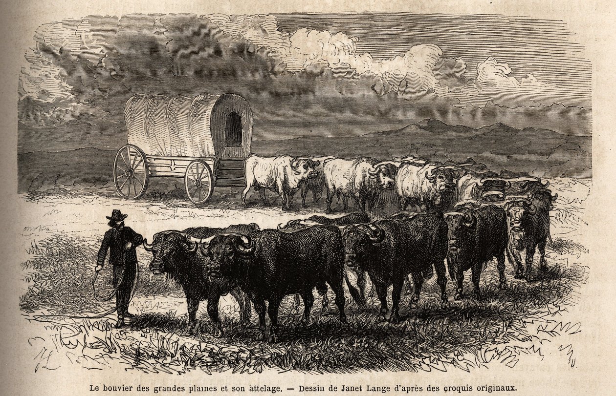 Velké pláně řídí a jejich zádrhel. Rytina pro ilustraci cesty na americký daleký západ od M. L. Simonina, v roce 1867, publikovaná v „Le tour du monde, nouveau journal des voyages“, editoval Edouard Charton od Unknown artist