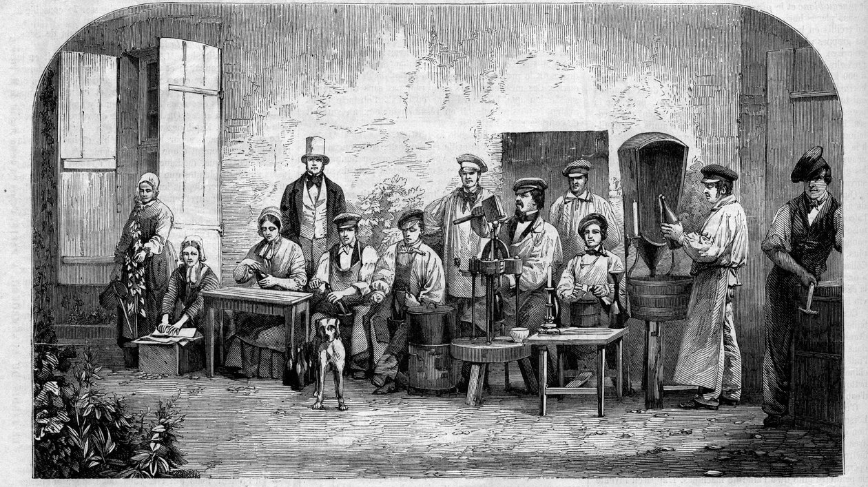 Stáčení šampaňského vína. Rytina z roku 1864. od Unknown artist