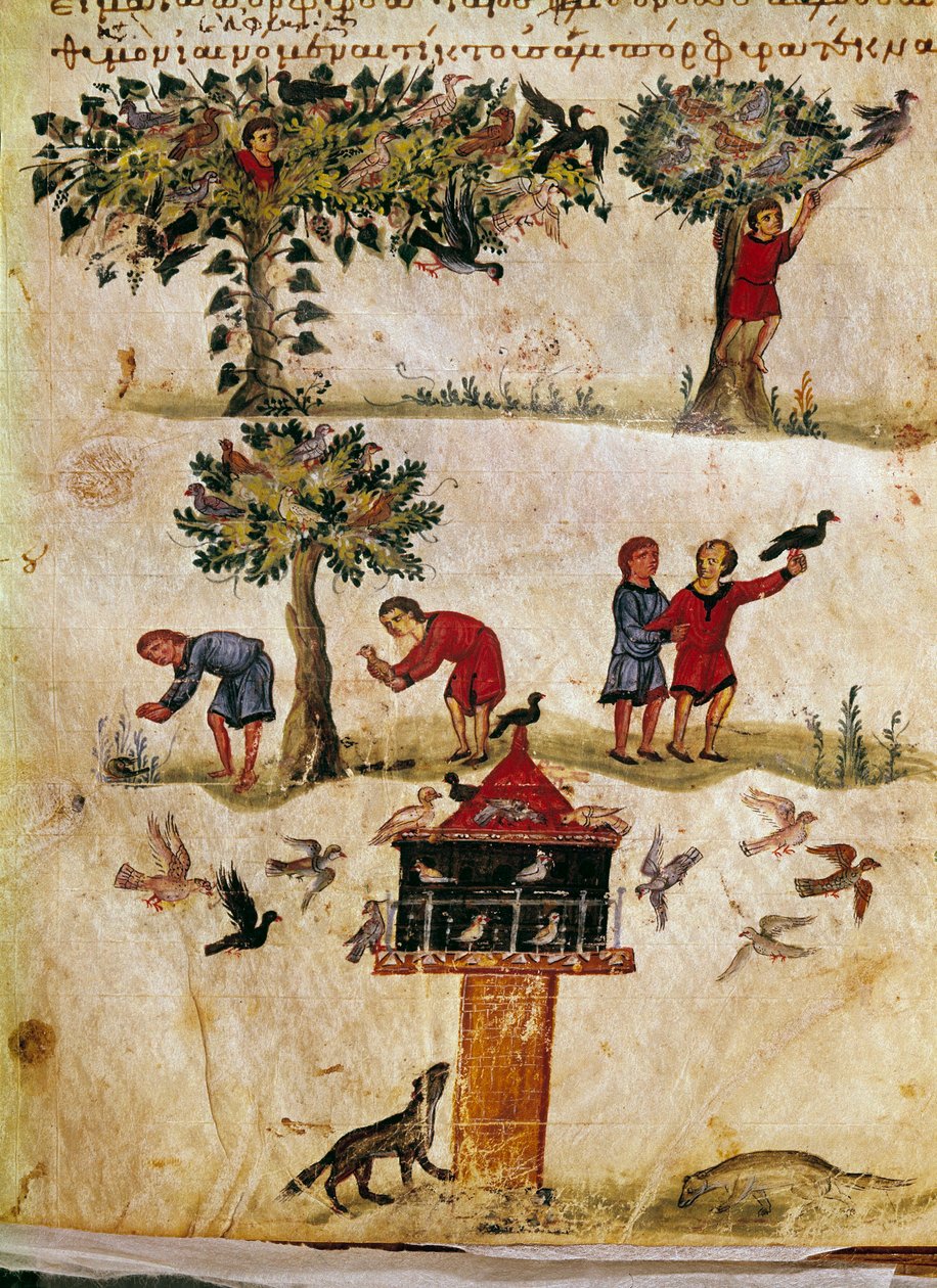 Chov a výcvik miniaturních sokolů z lovu „Kynegetiků“ v Oppianu (Oppian nebo Oppianus) v Sýrii (3. století n. l.) zasvěcený Caracalle. Benátky 11. století. Knihovna Marciana od Unknown artist