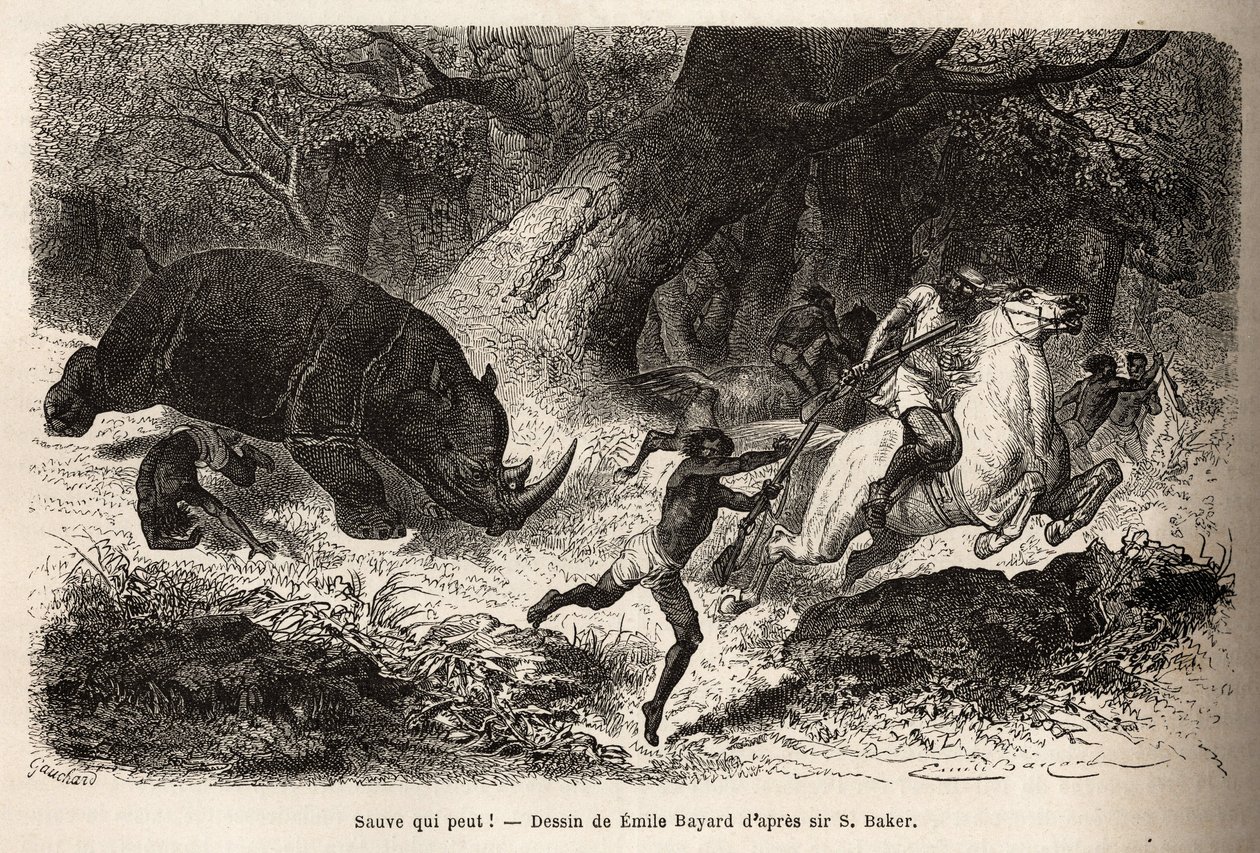 Náboj nosorožce, který převrátí a uvězní lovce, během pátrání po autorovi a jeho průvodcích. Rytina pro ilustraci průzkumu habešských přítoků Nilu od sira Samuela W. Bakera v letech 1861-62, publikovaná v „“ Le tou od Unknown artist