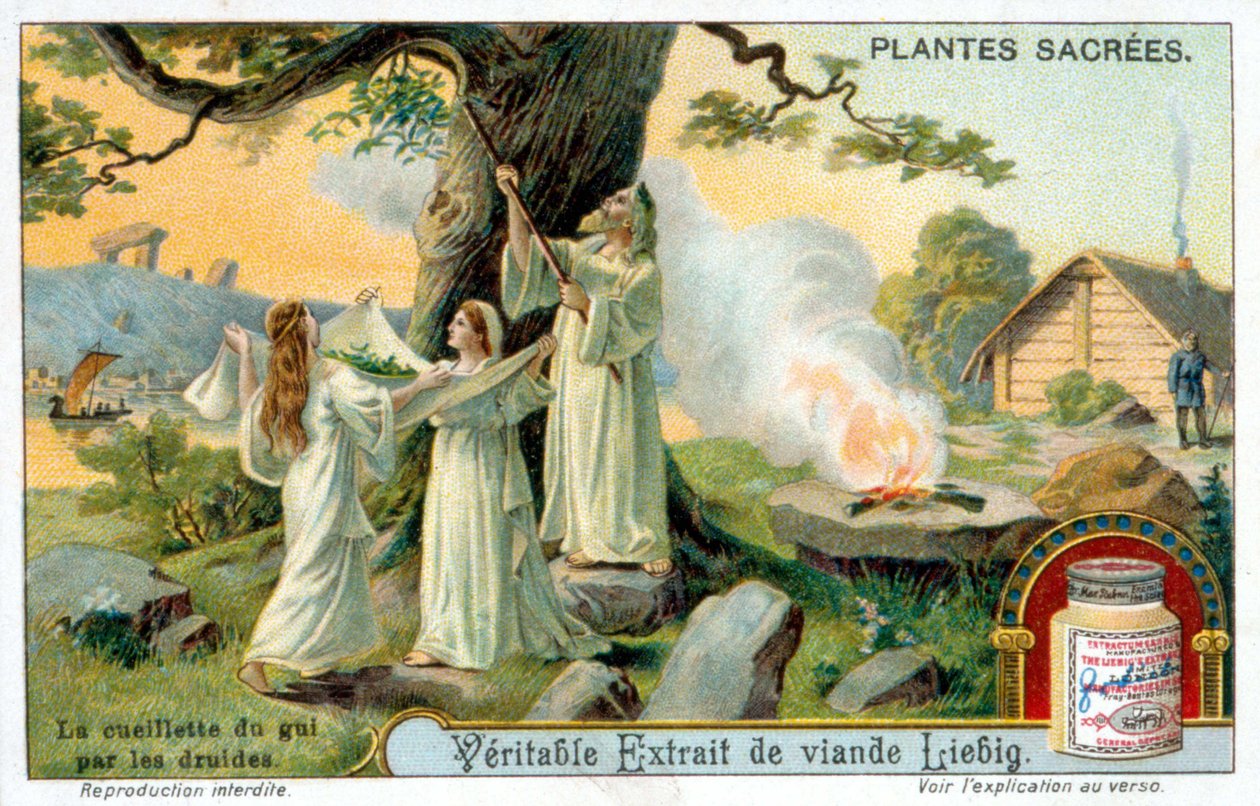 Sbírka jmelí od druidů - reklamní značka Liébig. Chromolihtografie 19. století od Unknown artist