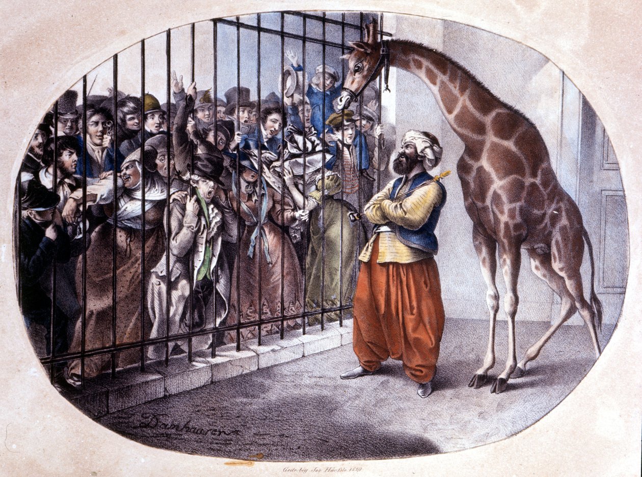 Zvědavý dav se vrhl, aby spatřil žirafu za bránou. Litografie od Danhaaren. 1829 od Unknown artist