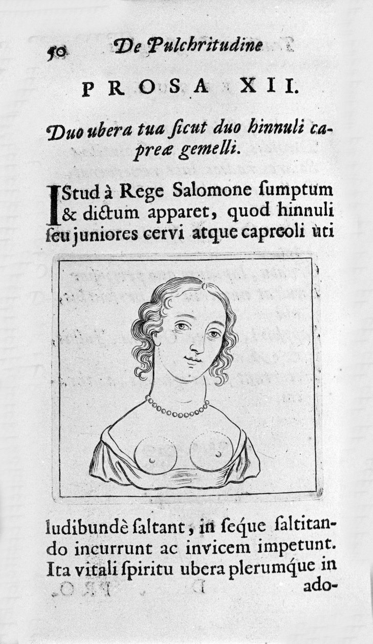 Ženská hruď. Stránka převzatá z "A Study of Physiological Beauty"" pojednává o Ernesto Venio (Ernestus Vaenius) hájící krásu stvoření proti anonymnímu protivníkovi. 1612 od Unknown artist