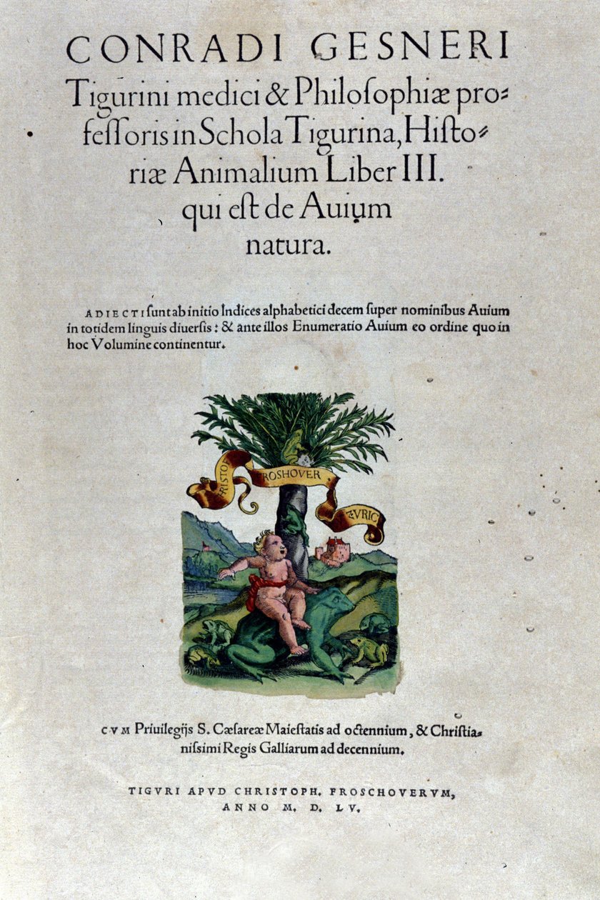 Frontispis třetího dílu Historia Animalium od Conrada Gesnera (1516 - 1565), Tiguri od Unknown artist