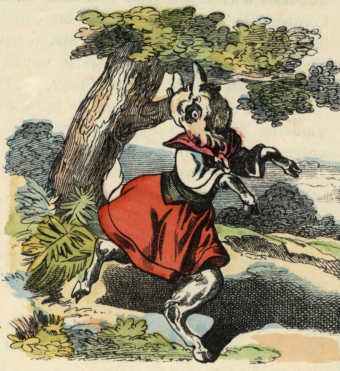 Koza, malý Chevy. Ilustrace příběhu „Bon medor a malý Chevrette““. V „“ Pohádky z domova pro nejmenší““. Anonymní rytina 19. století. od Unknown artist