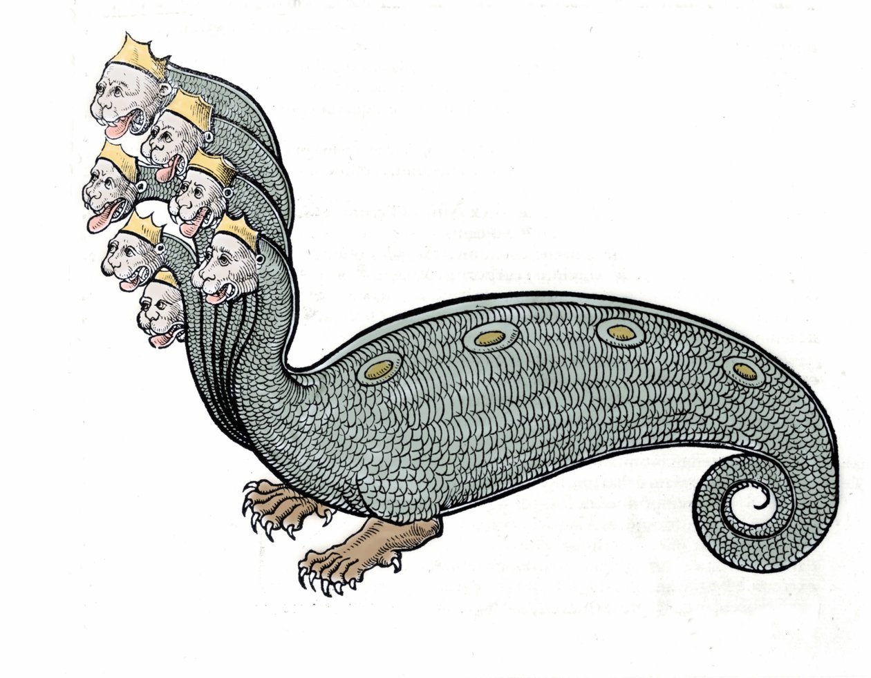 Hydra se sedmi hlavami je vodní had s tělem psa. od Unknown artist