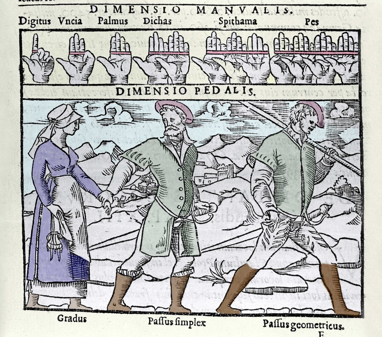 Jednotka délky používaná v 16. století. Nahoře: digitus (prst nebo palec), palmus (dlaň nebo empan = 4 prsty), pes (noha = 4 ploutve). Dole: Gradus (ne jednoduchý), Passus (ne dvojitý) simplex a Passus geometricus. Rytina z „Cosmographia“ od Petruse od Unknown artist