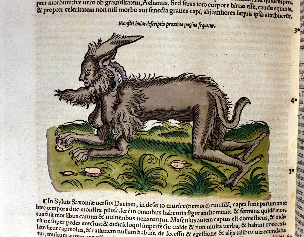 Manticore z Historia Animalium od Conrada Gesnera, Tiguri 1560. Biblioteca Nazionale Braidense. Milán od Unknown artist