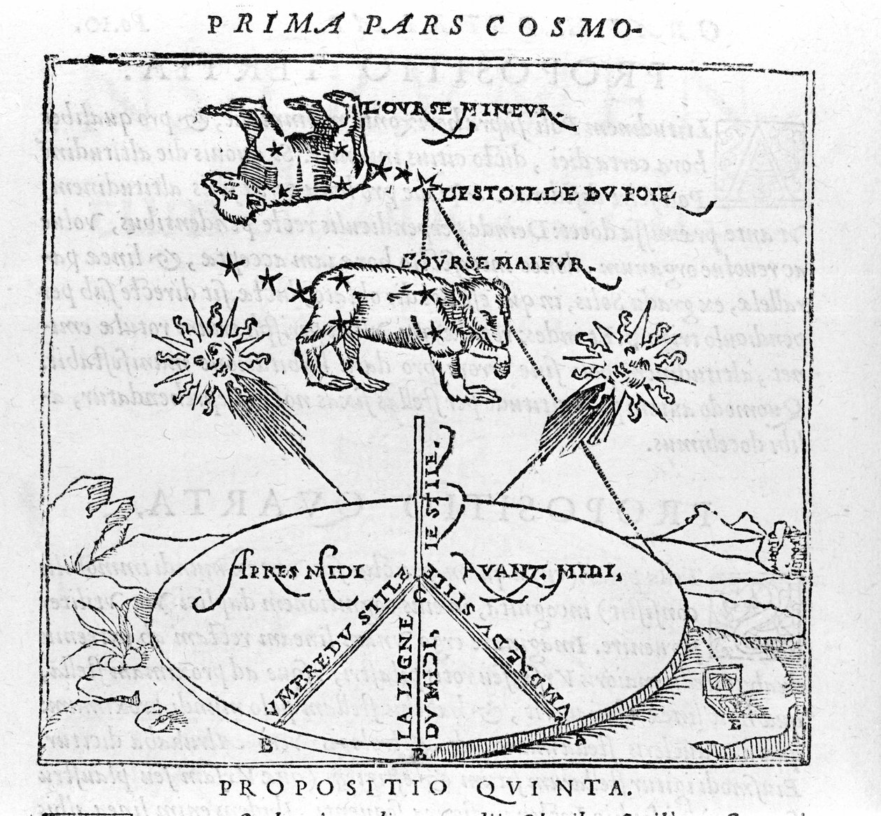 Polární hvězda a souhvězdí Medvěda po „kosmographii““ od Pietra Apianuse. Paříž 1551 od Unknown artist