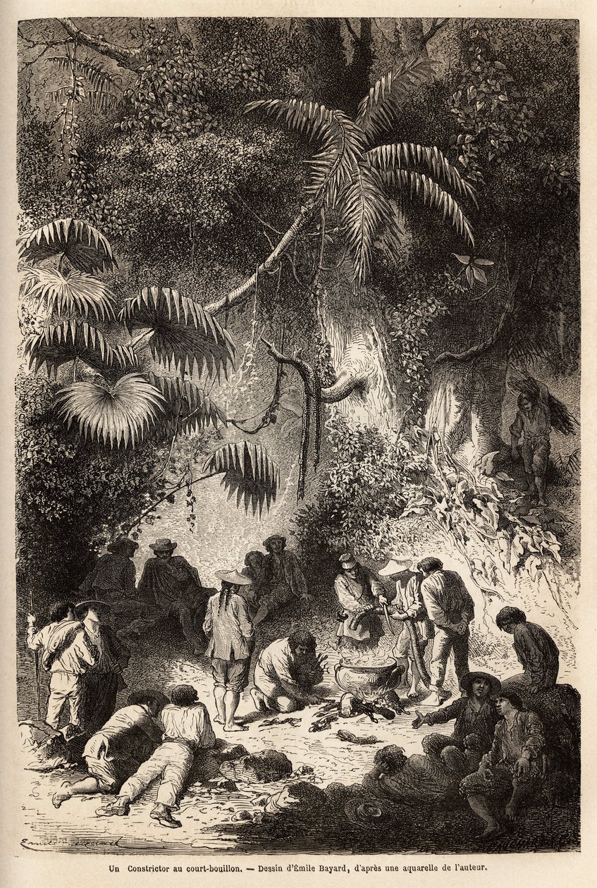 Příprava jídla v nedotčeném lese v údolí Caravaya (Andes cordilliere), hroznýš s krátkým vývarem. Engravure pour illustrrer le voyage dans les vallees de Quinquinas (Peru), Paul Marcoy, v letech 1849-1861, publikovaná v „“ Le tou od Unknown artist