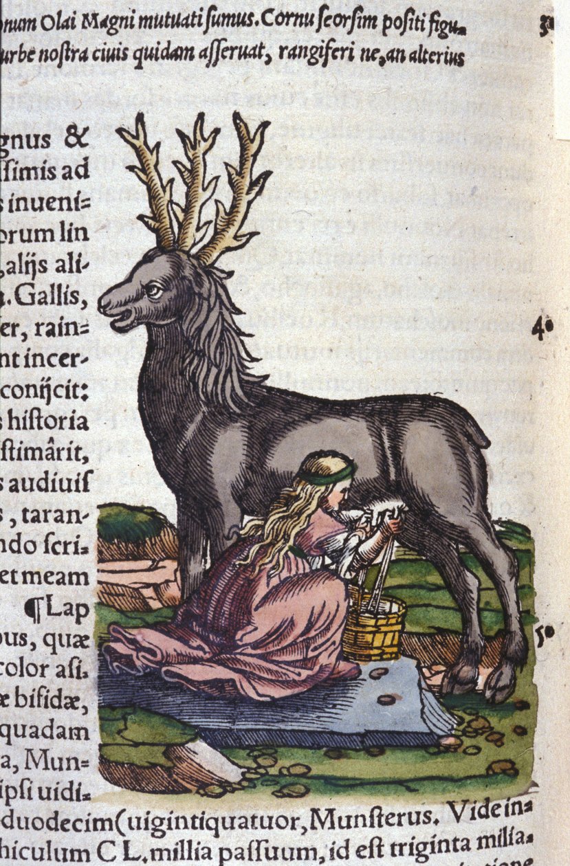 Obchod se soby po Historia animalium Konrada Gesnera, Tiguri od Unknown artist
