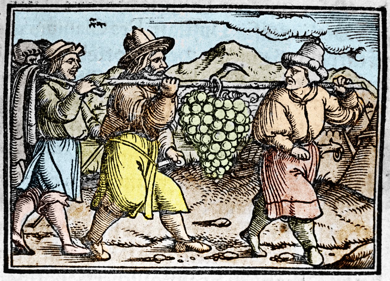Návrat Joshuy a Caleba s obrovským hroznem ze země Kanaán (země zaslíbená). Kronika od Johanna Stumpffa "" Den edlen strucen besten fromen"" od Unknown artist