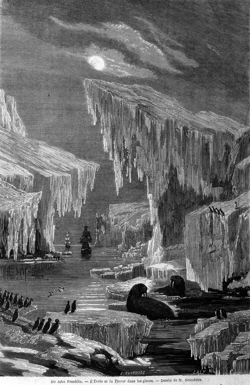 Lodě „Erebus“ a „Terror“ během výpravy vedené sirem Johnem Franklinem (1786-1847) do ledu. Rytina 19. století od Unknown artist