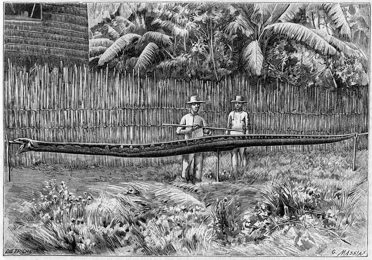 Kůže hada Python, 6,60 m dlouhá, zachycená na Filipínských ostrovech. (Z fotografie). Rytina v „“ La Nature: revue des sciences et de leurs applications aux arts et a l