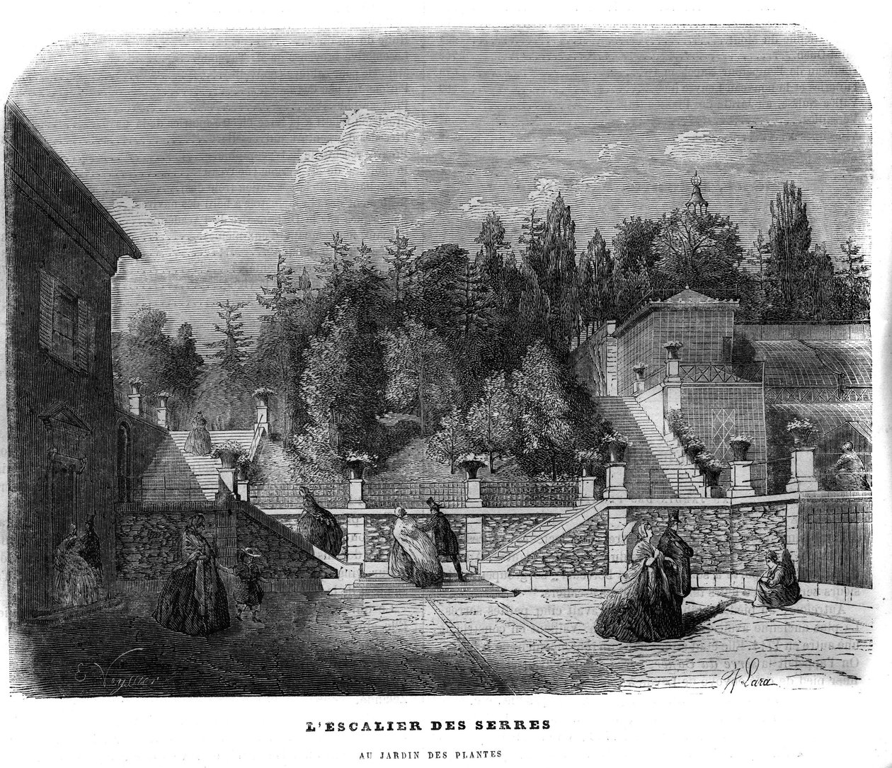 Schodiště skleníků v zahradě rostlin v Paříži v roce 1858. od Unknown artist