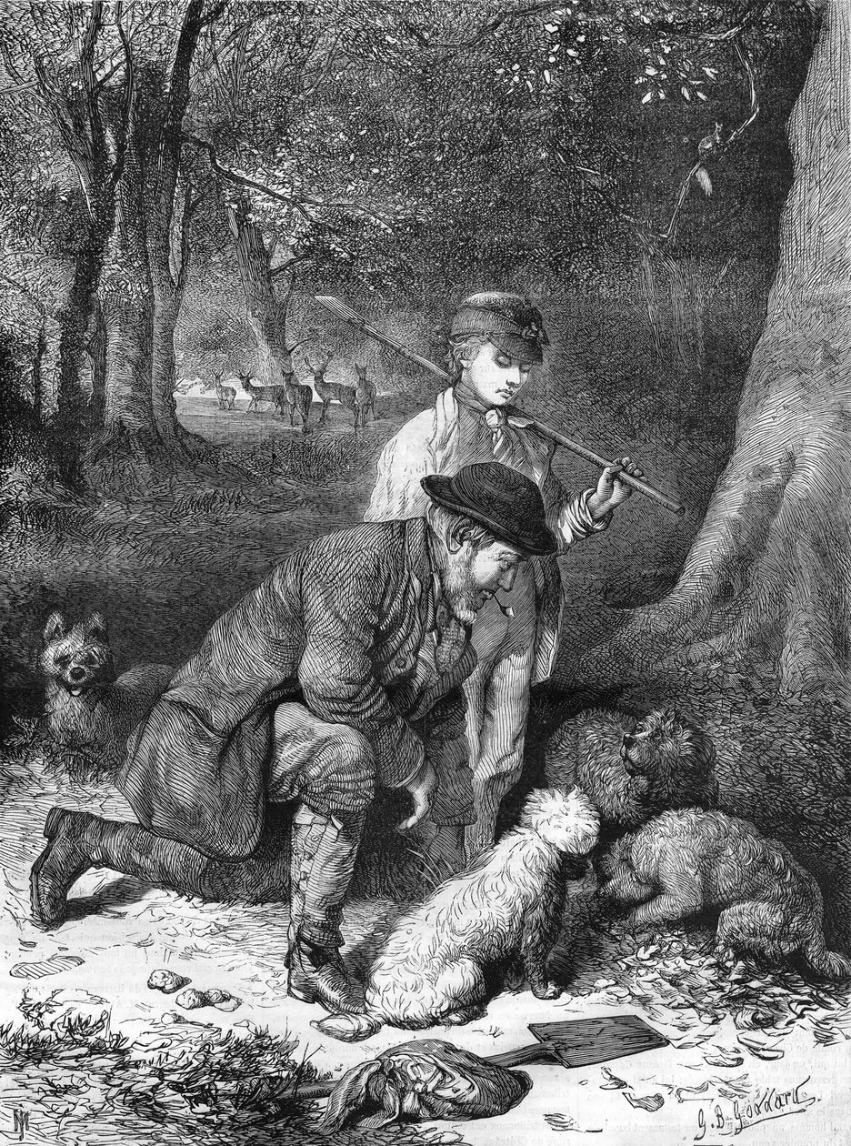 Lanýže. Rytina z roku 1870. od Unknown artist