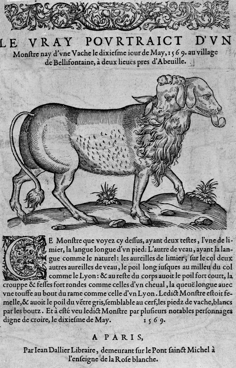 Vray by byl monstrum, ne krávou dixiesme iour května od Unknown artist