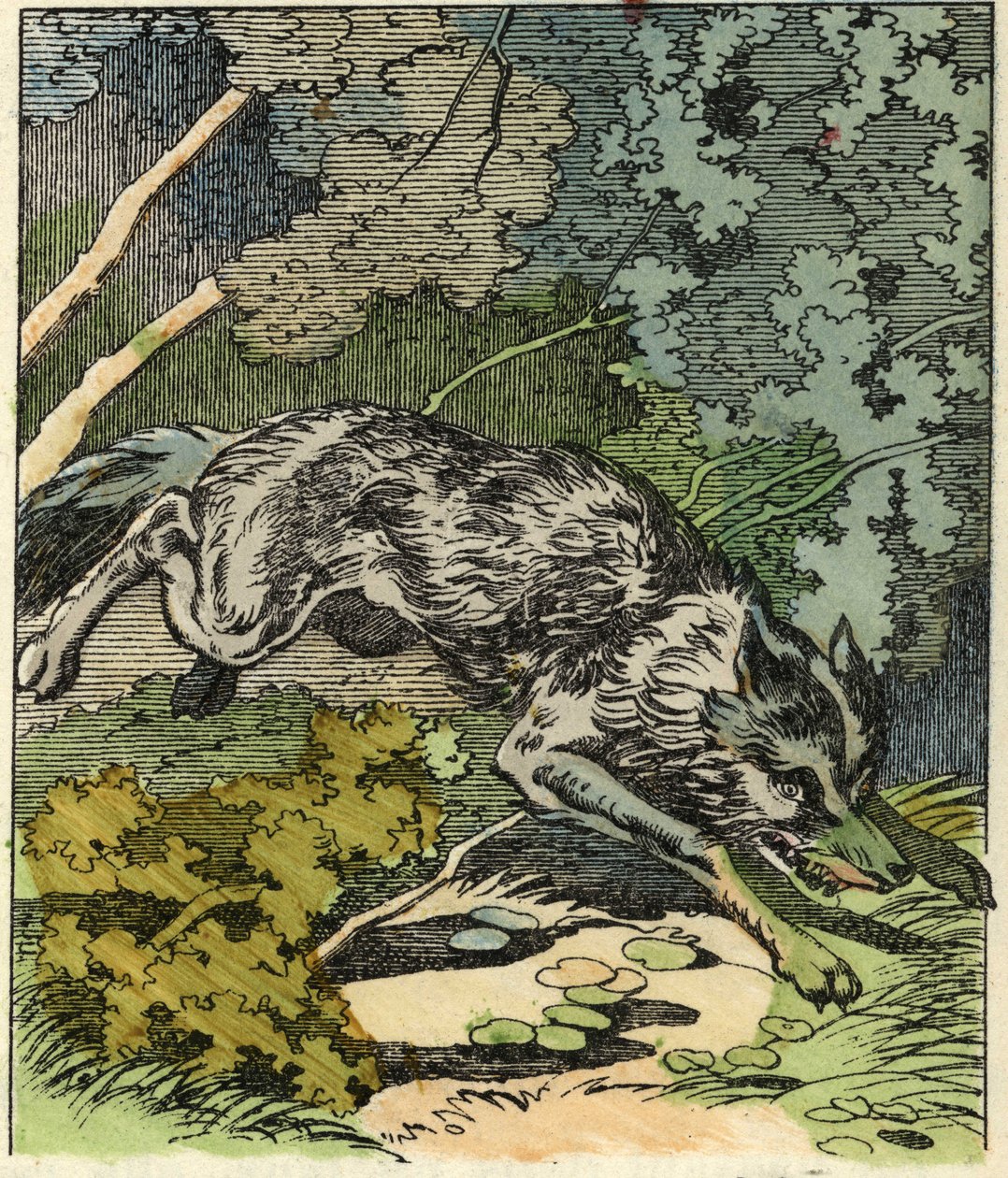 Vlk běží k babičce. Ilustrace pohádky „Červená karkulka“ od Charlese Perraulta od Unknown artist