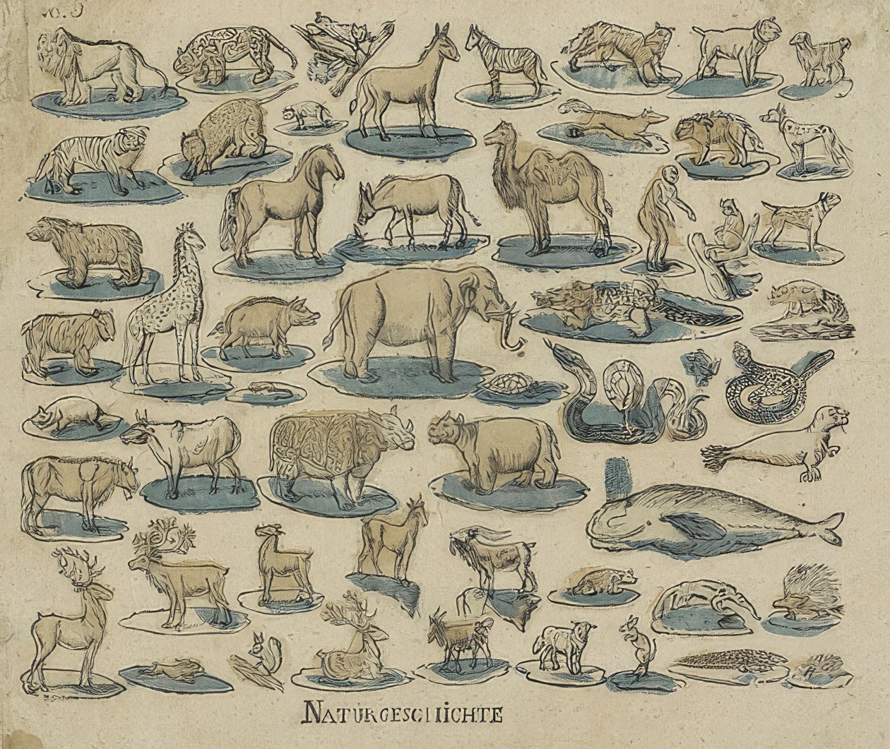 Zvířata. 1750-1800 od Unknown
