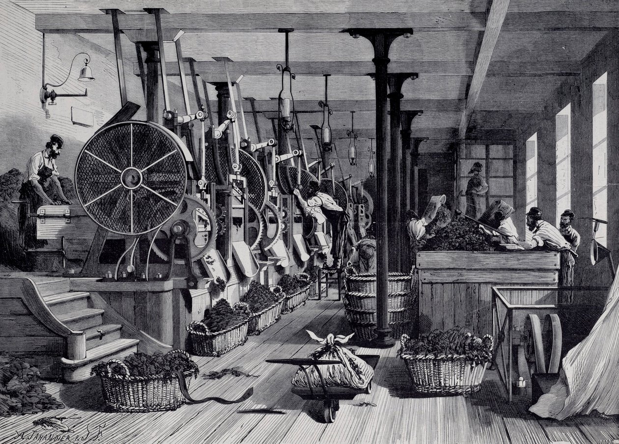 Tabáková továrna, prádelna a bourání tabáku. Rytina kolem roku 1867. Paříž, Musee Carnavalet od Unknown artist