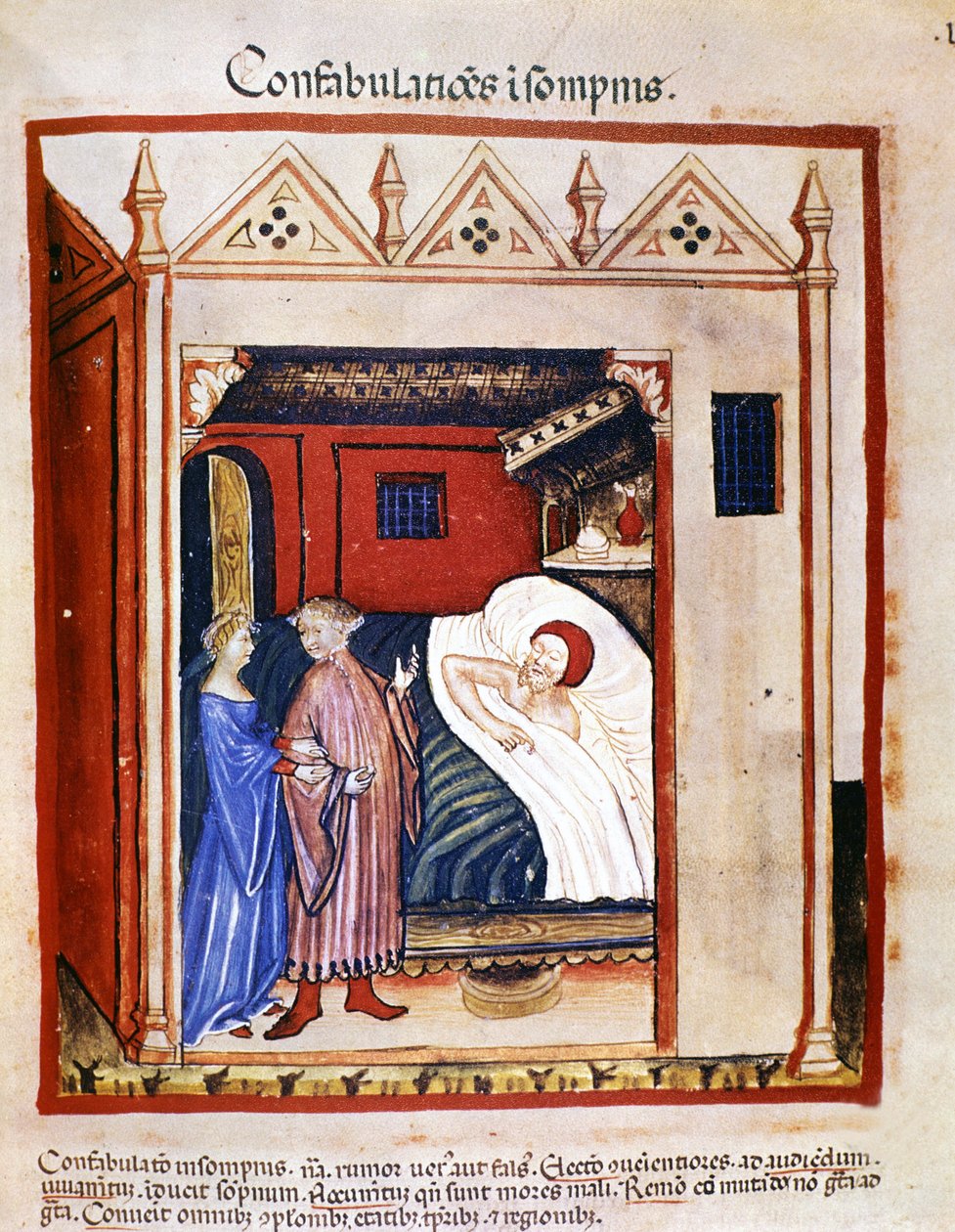 Pojednání o medicíně „“Tacuinum sanitatis““ 14. století: lidé mluví během spánku. 14. století. B.N, Vídeň. od Unknown artist