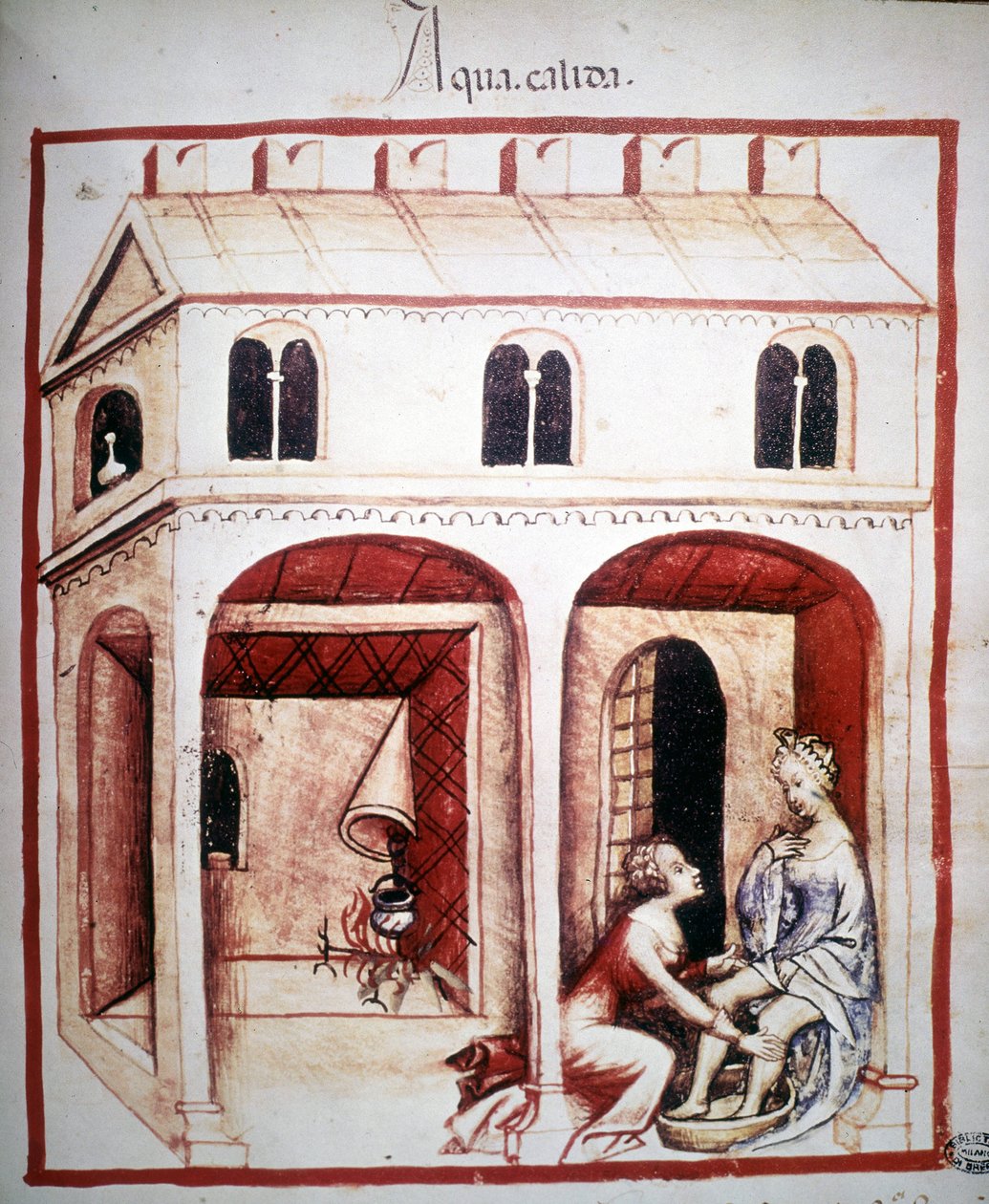 Pojednání o medicíně „“Tacuinum sanitatis““ 14. století: použití horké vody. B.N, Vídeň. od Unknown artist