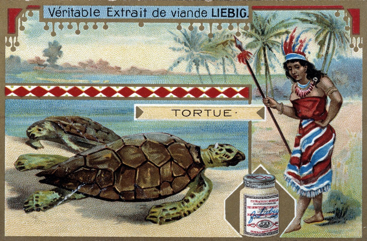 Želva se ženou oblečenou jako rodačka z Jižní Ameriky, vybavená loveckým kopím - Liebigova chromolitografie od Unknown artist