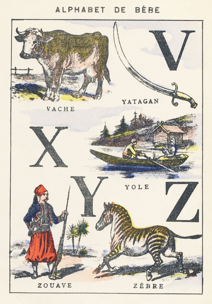 V X Y Z: kráva, yole, zouave, zebra od Unknown artist