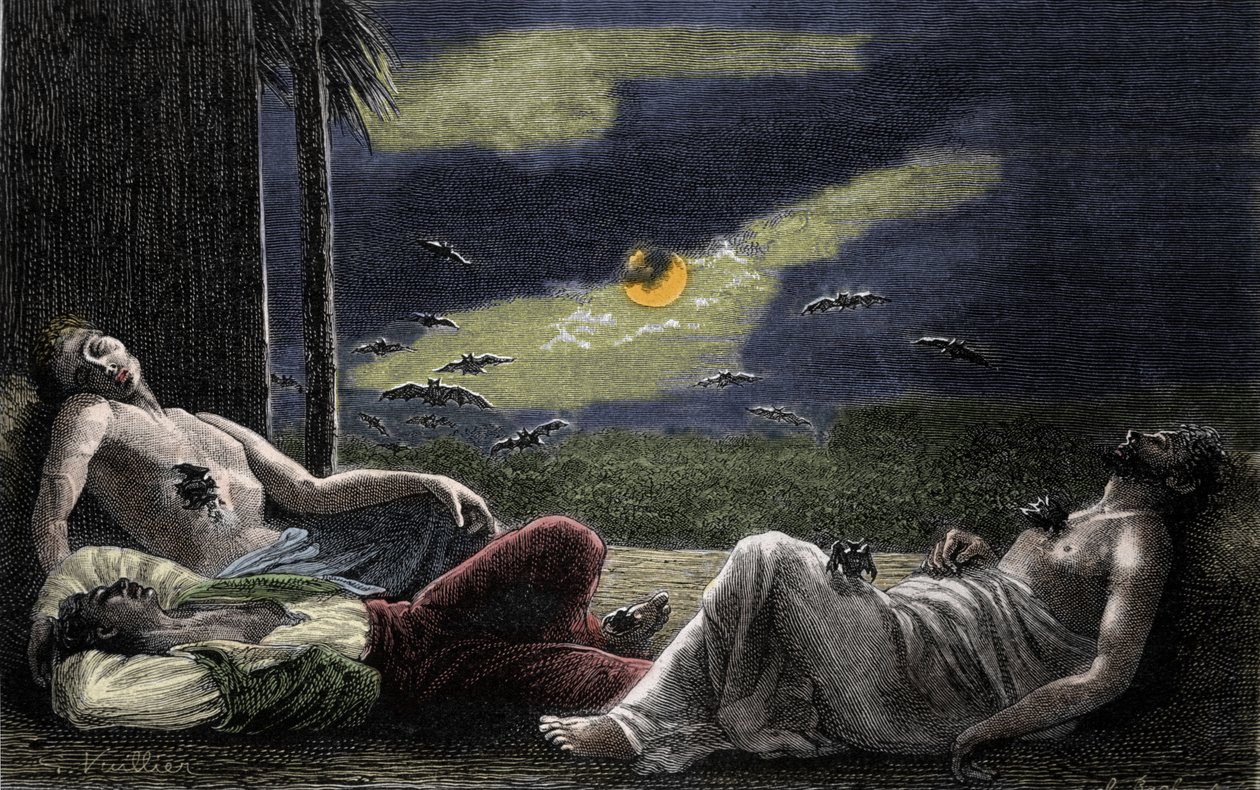 Upíří netopýr sající krev mužů spících za úplňkových nocí. Rytina 19. století od Unknown artist