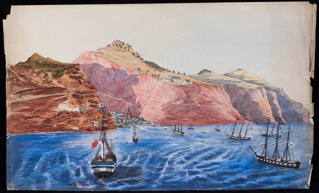 Pohled na Jamestown, St. Helena, cca 1850 (wc na papíře) od Unknown