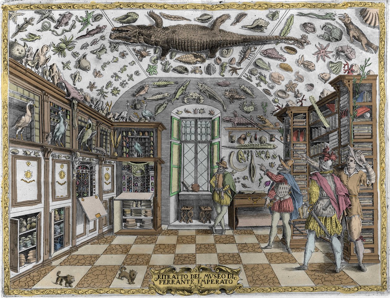 Pohled na muzeum (kabinet) kuriozit (encyklopedické muzeum) lékárníka Ferrante Imperato (1550 - 1631). Rytina z roku 1678. Muzeum neapolského lékárníka Ferrante Imperato. od Unknown artist