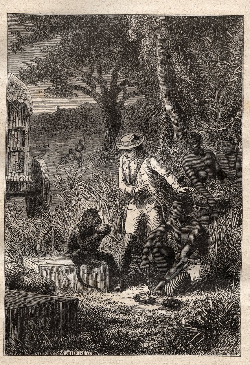 Voyage dans la Caffrerie (Jižní Afrika) (1781) od Francoise Levaillanta (Le Vaillant) (1753-1824): Levaillant a jeho opičí degustátor Maitre Kees, který ochutnává plody a kořeny, aby si ověřil, že jsou jedlé - ilustrace převzata z ““ Les Gra od Unknown artist