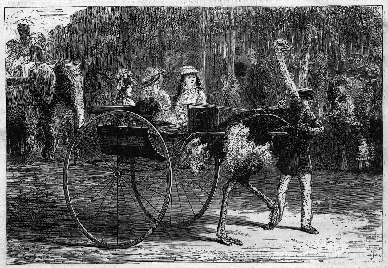 Projděte se na hřbetě slona a dětí v kariole tažené Rakušany. Zahrada aklimatizace Bois de Boulogne v Paříži od Unknown artist