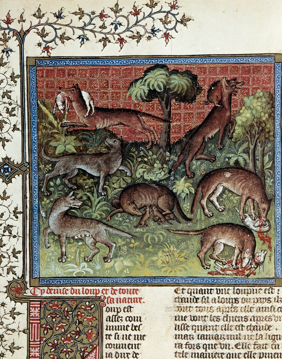 Heslem je vlk a celá jeho přirozenost. Miniatura od Gastona Phoebuse (1331-1391) od Gastona III Comte De Foix od Unknown artist