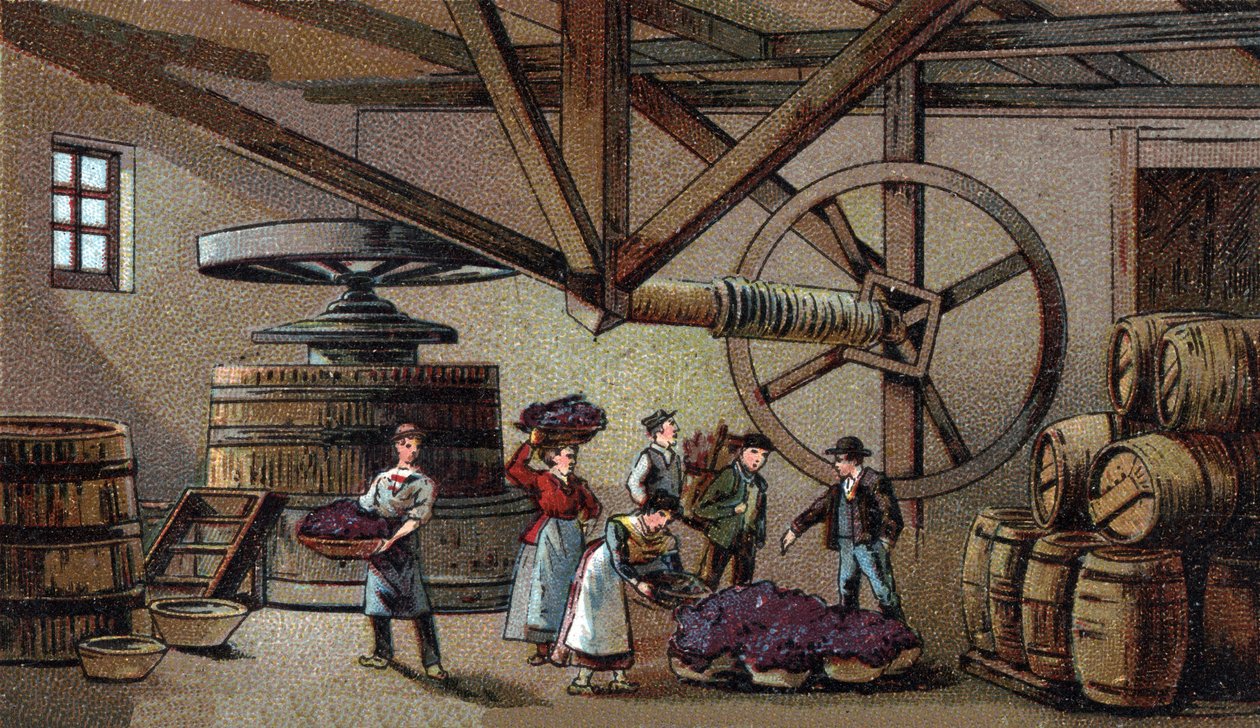 Výroba vína: vinný lis hospice Beaune (clos vougeot). Chromolitografie konce 19. století od Unknown artist