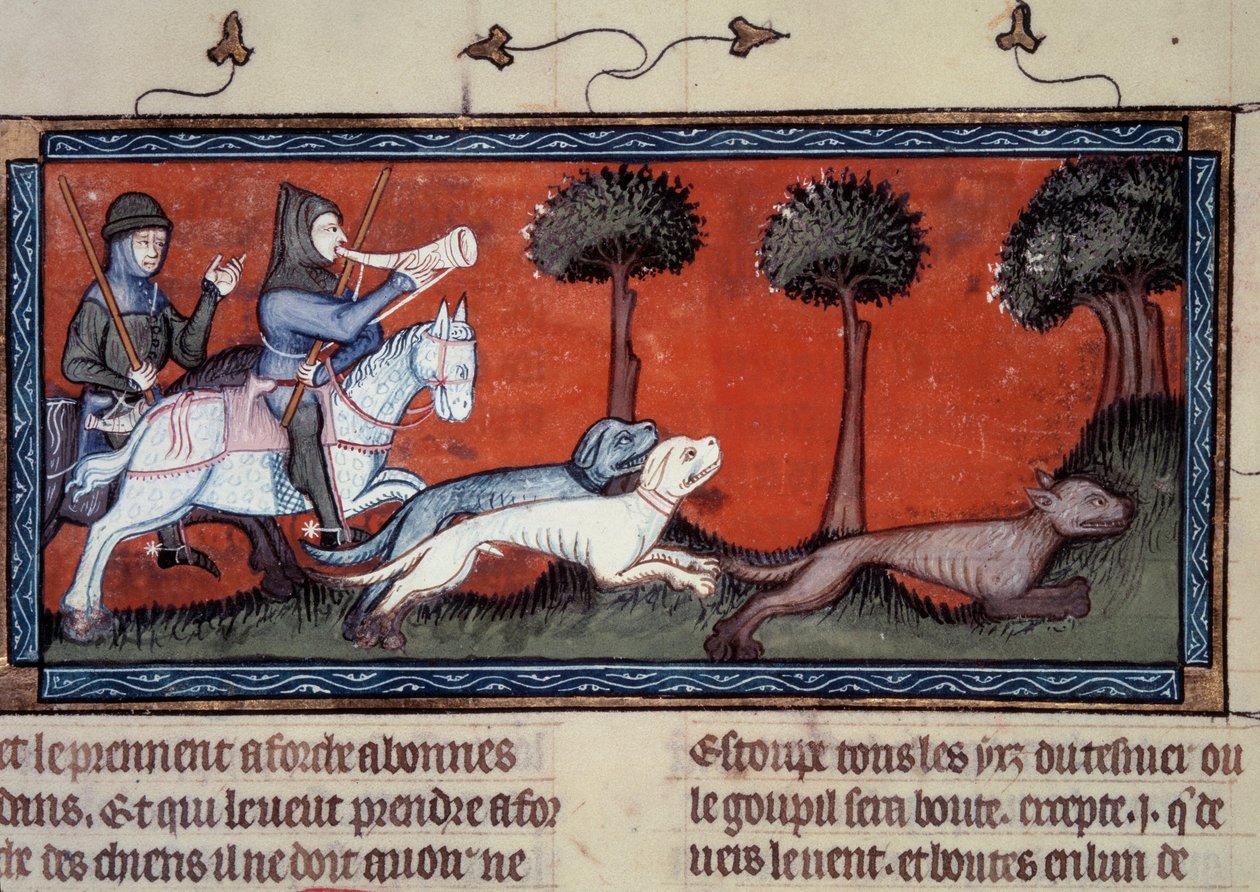Miniatura lovu vlka z rukopisu fr. 1297 „“ kniha krále Moduse a královny poměr“ od Henri de Ferrieres (14. století) od Unknown artist