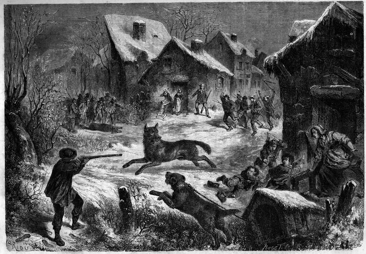 Lov vlků ve vesnici Saliers, Bouches du Rhone (13), 31. prosince 1860. Rytina v „“ Le Monde Illustré““ n¡196 z 12. ledna 1861. od Unknown artist