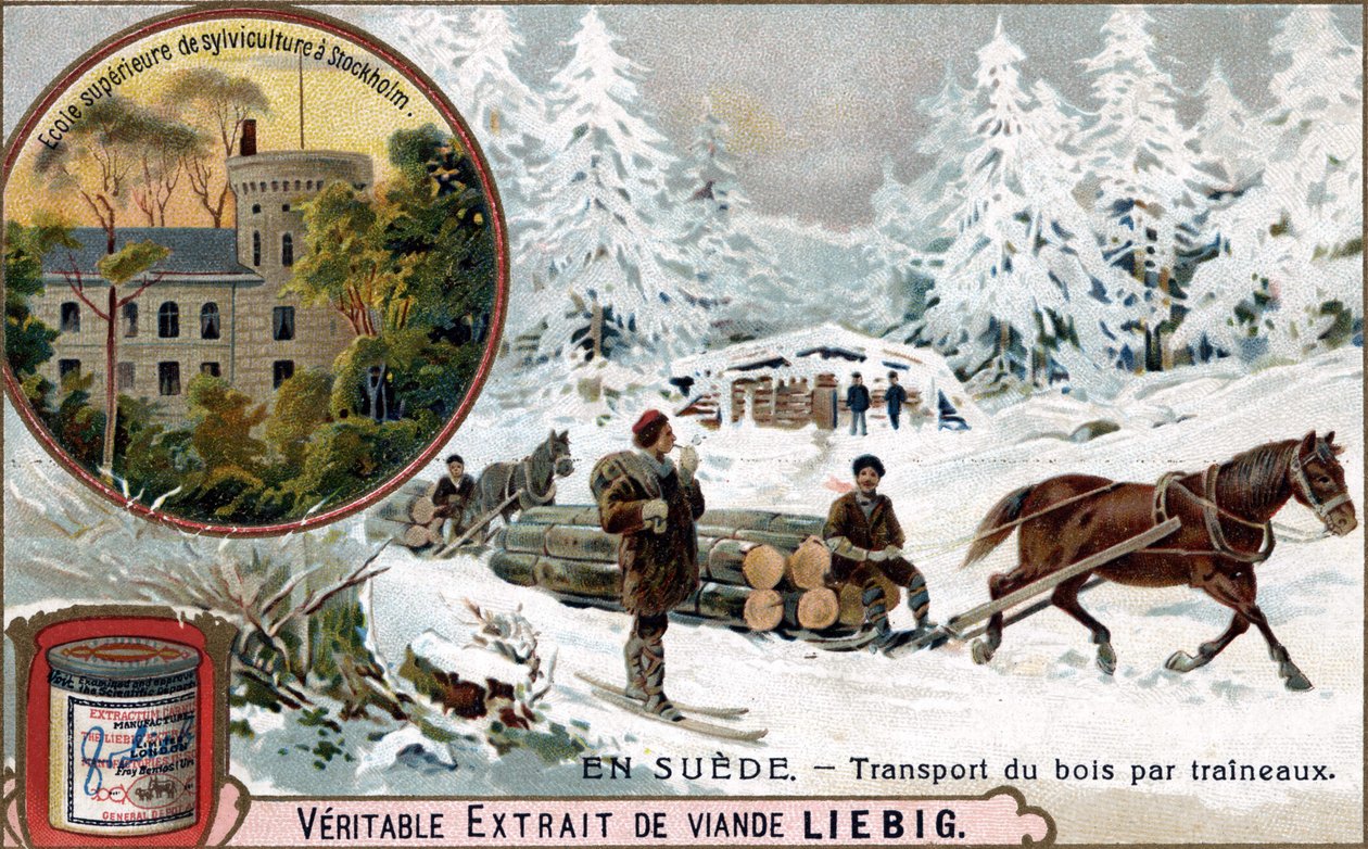 Doprava dřeva na saních, Švédsko. Chromolitografie, Liebigův snímek. od Unknown artist