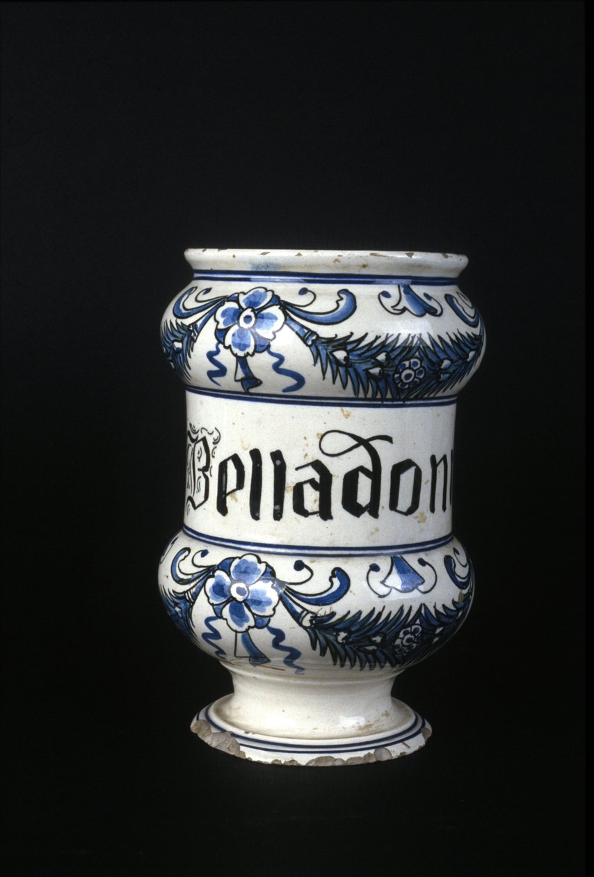 Lékárna ze 16. století obsahující Belladonnu, toxickou bylinu používanou ve farmacii. Muzeum vědy a techniky, Milán. od Unknown artist