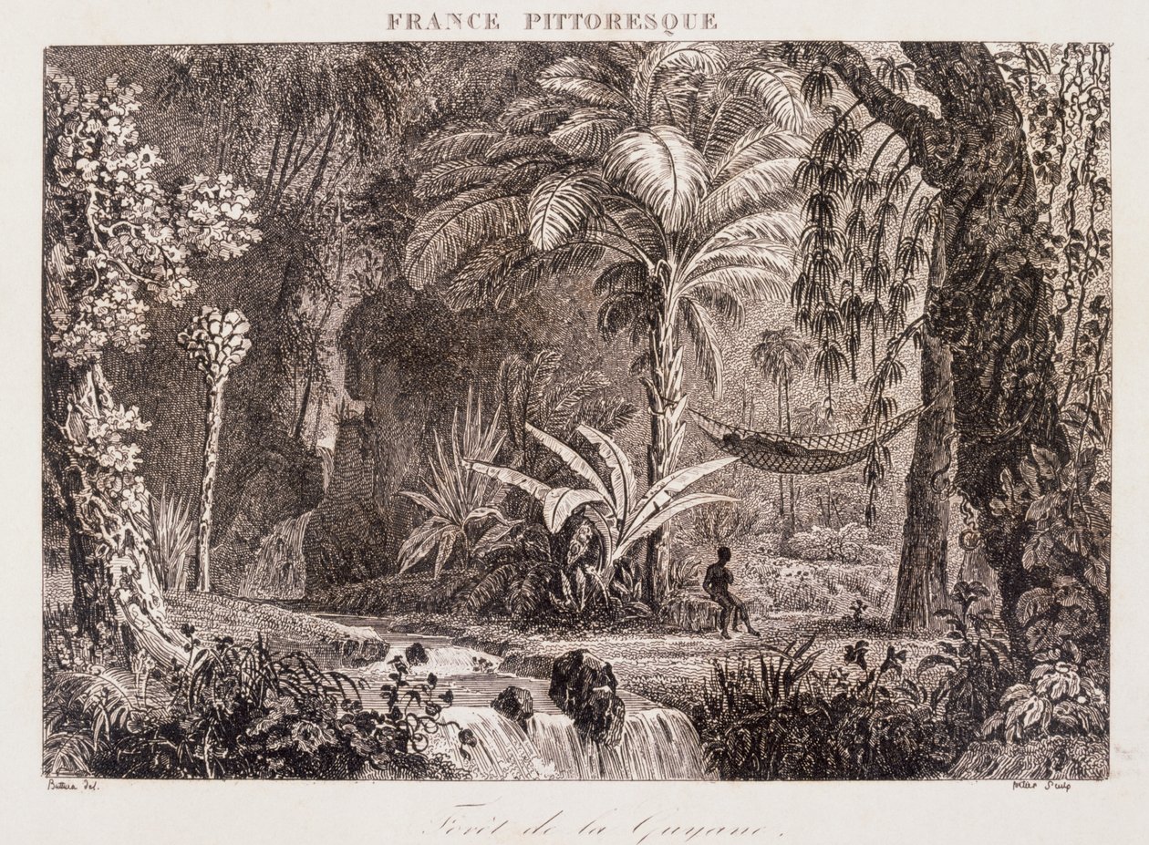 rytina zobrazující francouzskou kolonii Guyana v Jižní Americe 1850 od Unknown artist
