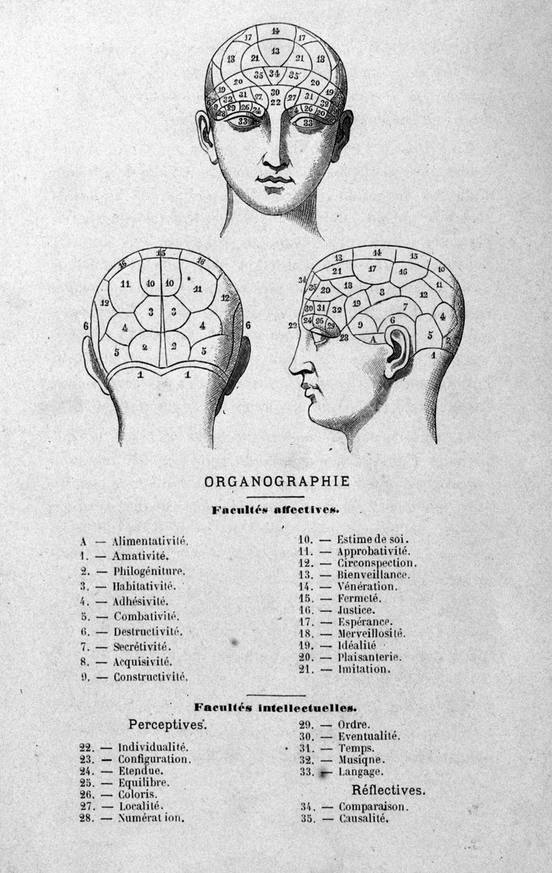 ilustrace z knihy Charlese Rouvina z roku 1873 Organographie La Tête humaine, ilustrované studie frenologie a fyzionomie aplikované na slavné postavy Paříž 1873 od Unknown artist
