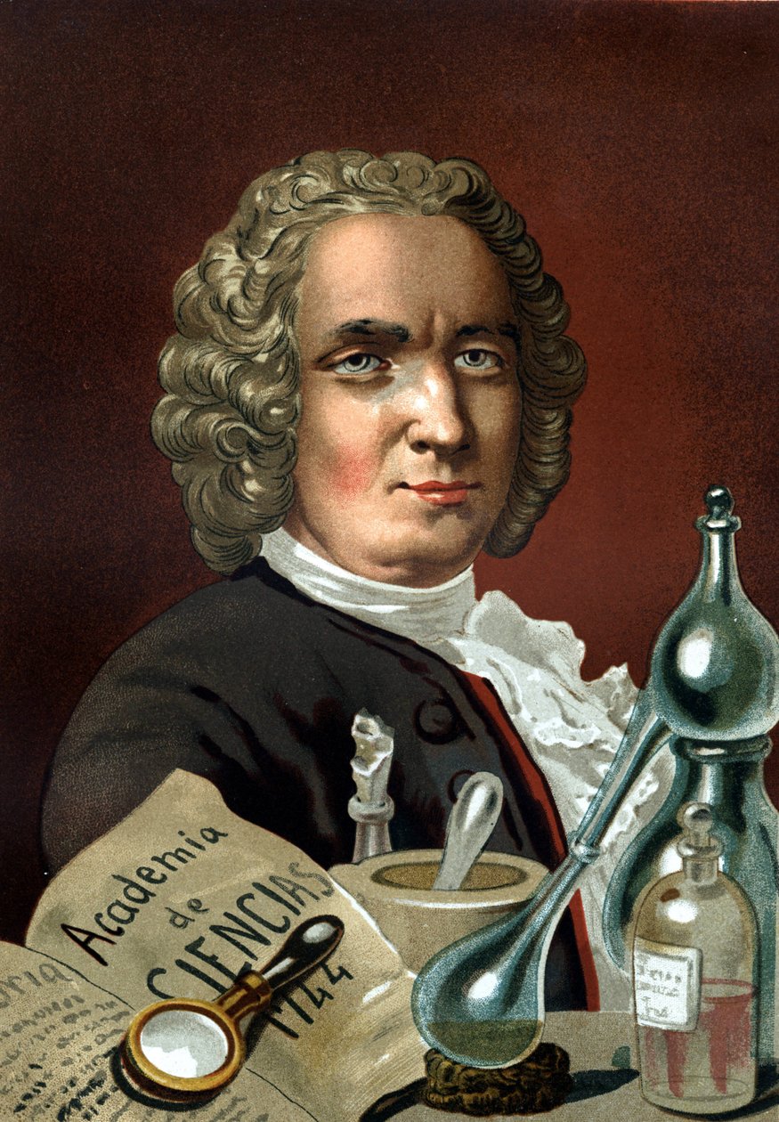Portrét Guillaume Francois Rouelle. Francouzský chemik (Mathieu, poblíž Caen od Unknown artist