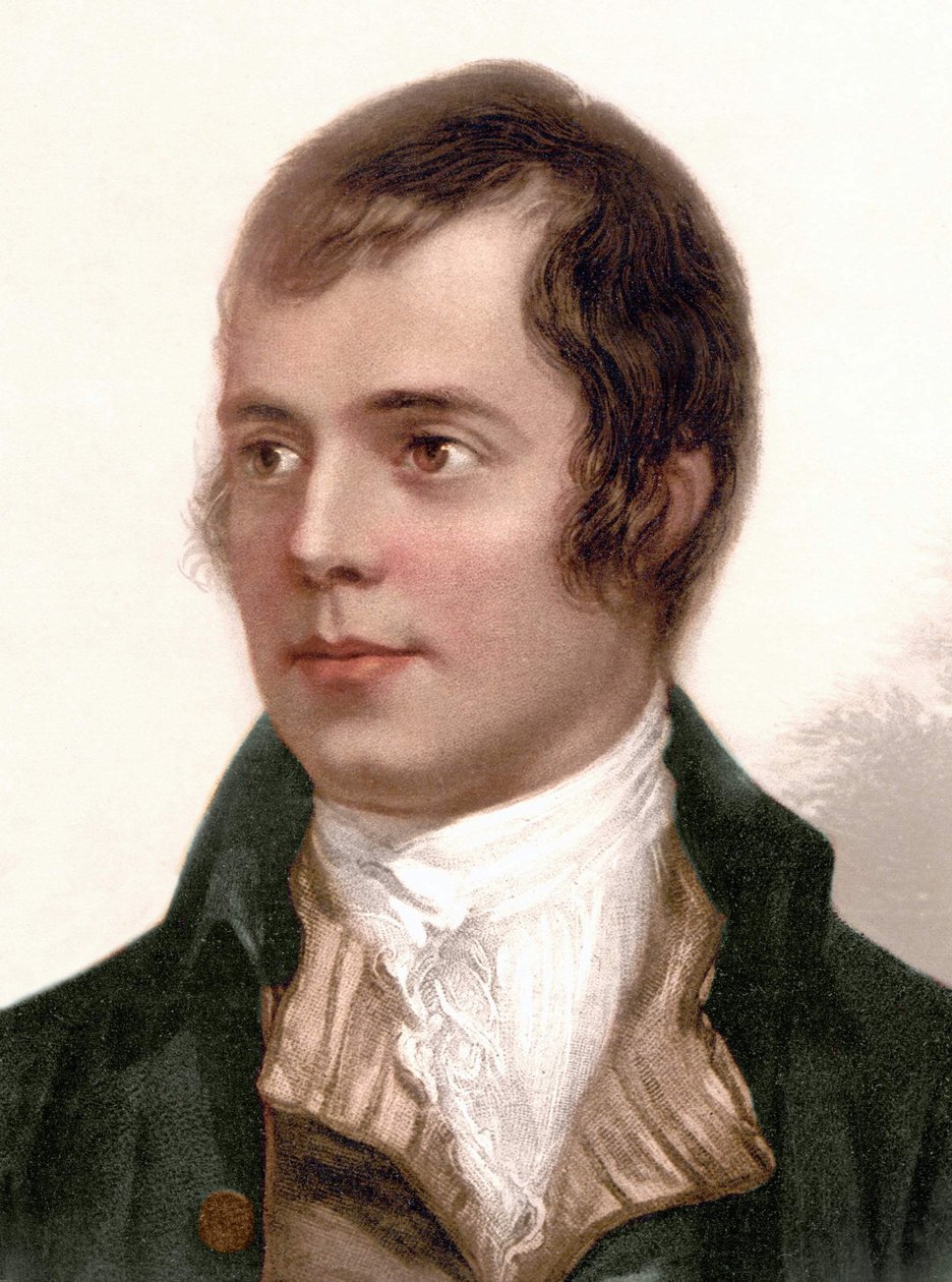portrét Roberta Burnse. Skotský básník (1759 až 1796). od Unknown artist